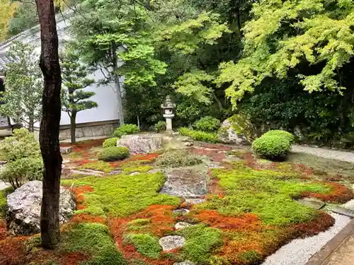 南禅寺の庭園