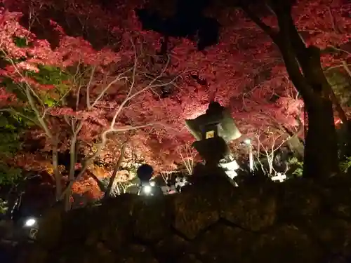 大山寺の自然