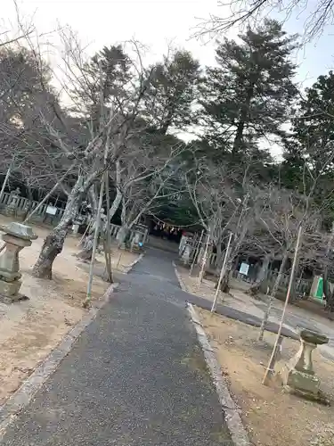 中郷八幡宮の建物その他