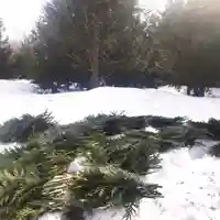 七重浜海津見神社(北海道)