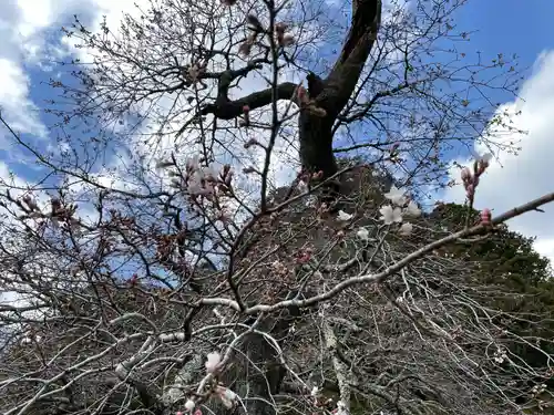 北野神社のその他建物
