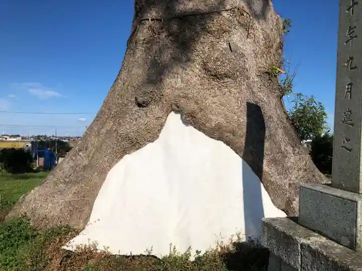 大木神社跡地の自然