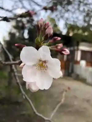 産土神社(大阪府)