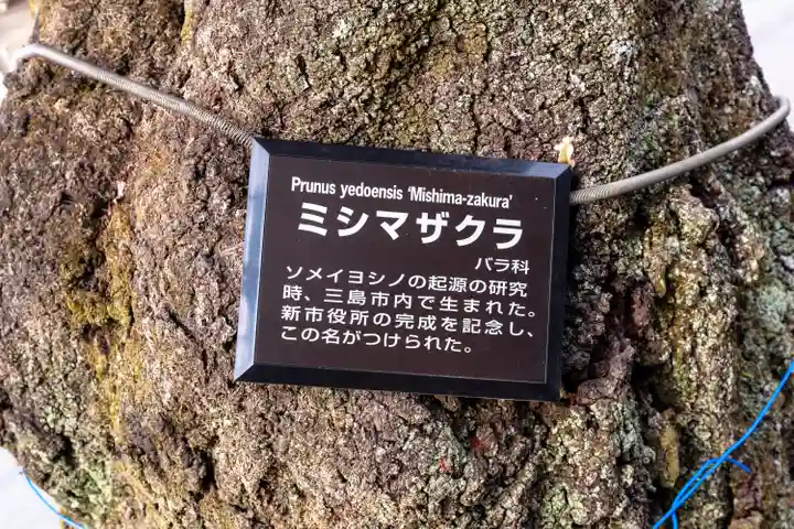 三嶋大社(静岡県)