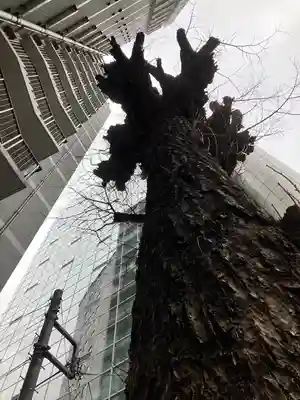 箒銀杏天満宮(東京都)
