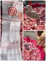 川越氷川神社(埼玉県)