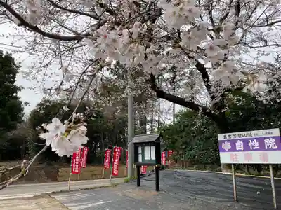 自性院(茨城県)