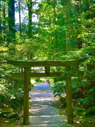 彌彦神社(新潟県)