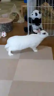 心光寺(大阪府)