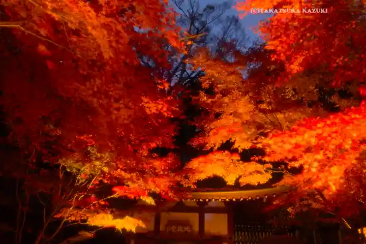 長谷寺(神奈川県)