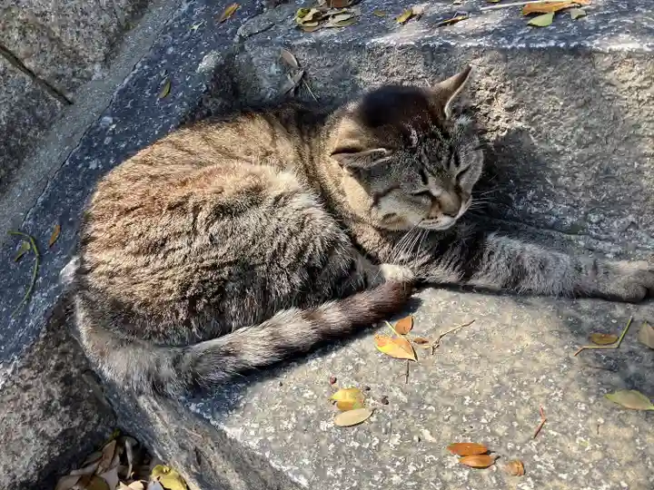 五香宮(岡山県)