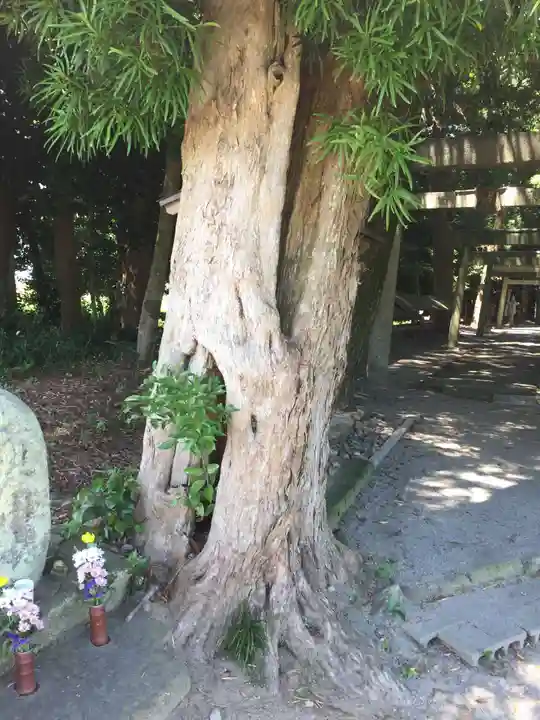 宇氣比神社(三重県)