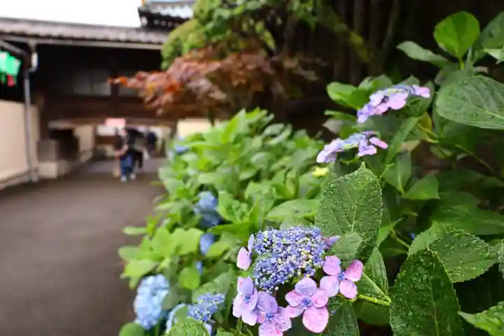 白山神社(東京都)