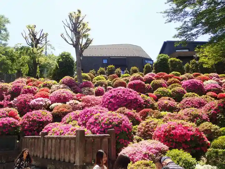 根津神社(東京都)