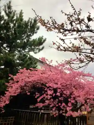 新宿下落合氷川神社(東京都)