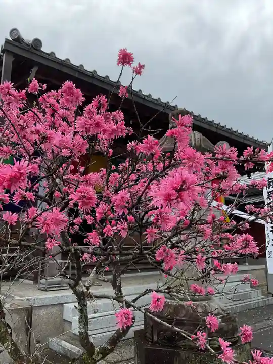 来昌寺(岐阜県)