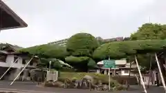 照國神社の芸術