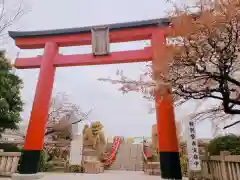 亀戸天神社の鳥居