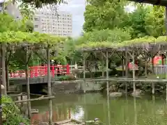 亀戸天神社の庭園