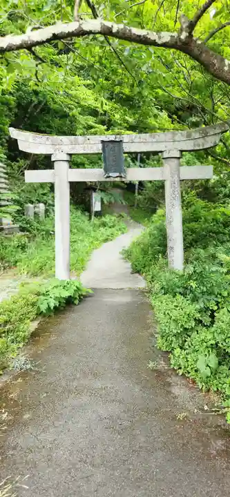 唐松山 護国寺の鳥居
