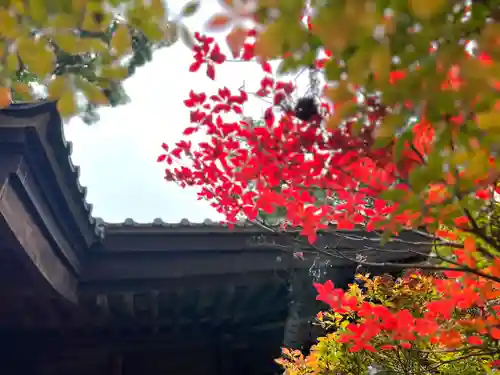 御嶽神社のその他建物