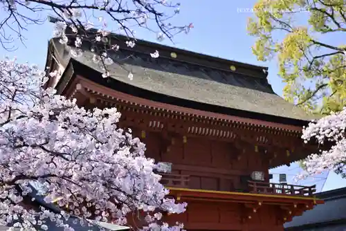 富士山本宮浅間大社(静岡県)