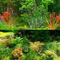 寿量山 速成寺の自然