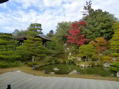 仁和寺の庭園