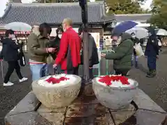 長浜八幡宮の手水