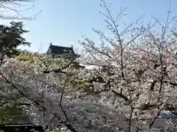 龍城神社(愛知県)