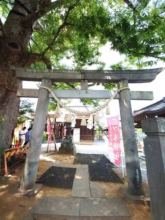 三ツ木神社(埼玉県)