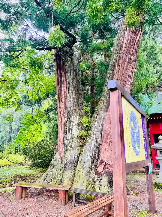 羽黒山五重塔(出羽三山神社)の自然