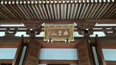 伝通院の本殿・本堂