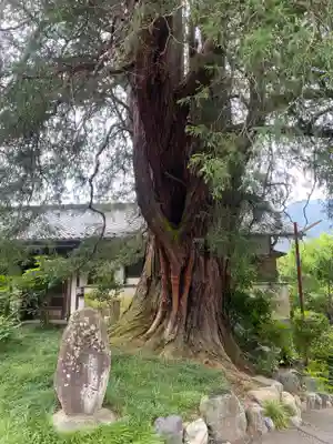 崇禅寺(群馬県)