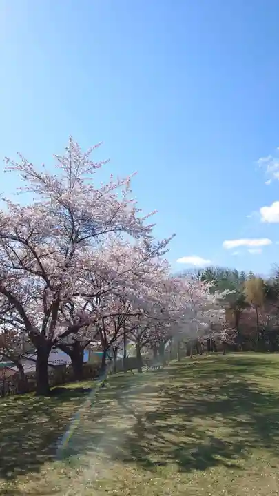 相馬神社の自然