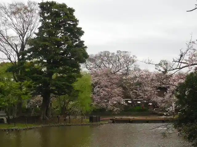 鶴岡八幡宮の庭園