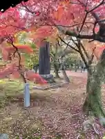 東福禅寺(東福寺)の自然