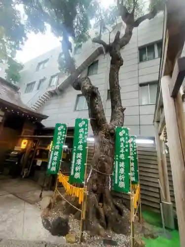 少彦名神社(大阪府)