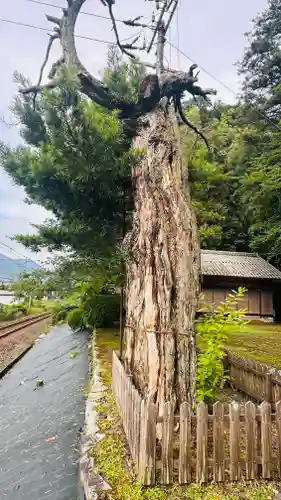 八幡神社(京都府)