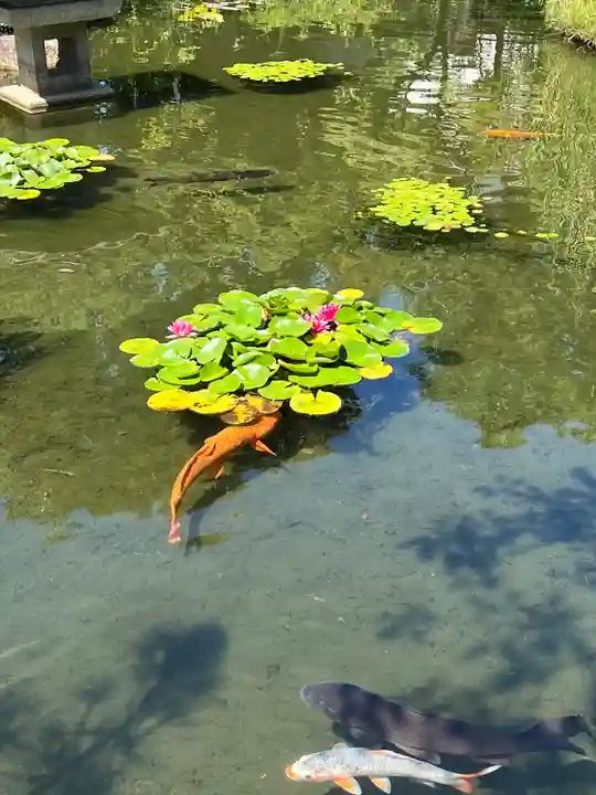 西新井大師総持寺(東京都)