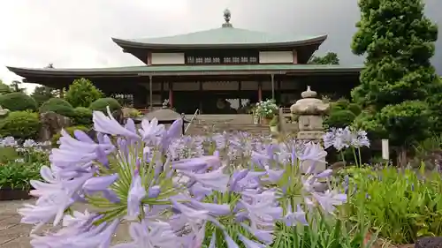 真言宗神道派大本山 宝珠院の本殿