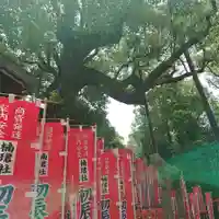 楠珺社(住吉大社末社)のその他建物