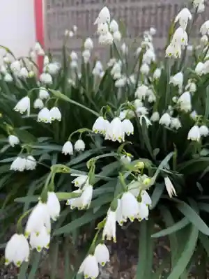 崇道天皇社(奈良県)