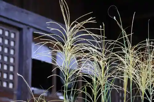 神炊館神社 ⁂奥州須賀川総鎮守⁂の自然