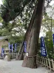 八幡神社(兵庫県)