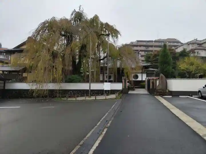 高樂寺の山門・神門