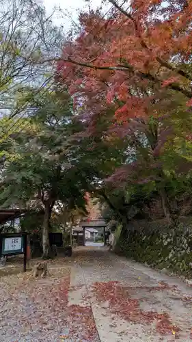 涌泉寺(京都府)