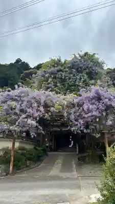 神光寺の{uncategorized: "未分類", other: "その他", undefined: "問題あり", building: "その他建物", grave: "お墓", sacred_gate: "鳥居", guardian: "狛犬", statue: "像", buddha: "仏像", history: "歴史", nature: "自然", garden: "庭園", animal: "動物", pagoda: "塔", temizu: "手水舎", mountain_gate: "山門・神門", sanctuary: "本殿・本堂", subordinate: "末社・摂社", art: "芸術", scenery: "景色", jizo: "地蔵", ema: "絵馬", goshuin: "御朱印", omikuji: "おみくじ", items: "授与品その他", amulet: "お守り", goshuincho: "御朱印帳", eats: "食事", festival: "お祭り", votive_dance: "神楽", shichigosan: "七五三参", wedding: "結婚式", experience: "体験その他", initially: "初詣", around: "周辺", anti_infection: "感染症対策"}
