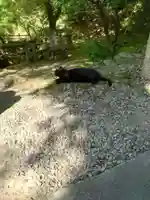 唐澤山神社(栃木県)