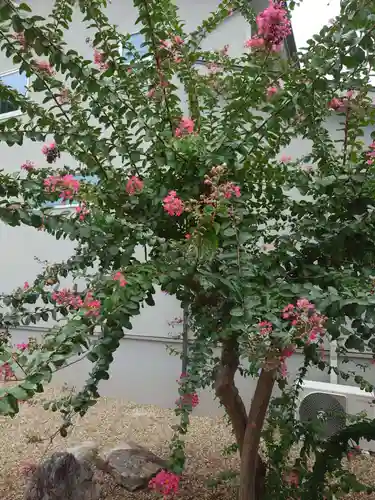 鎮宅霊符神社(奈良県)